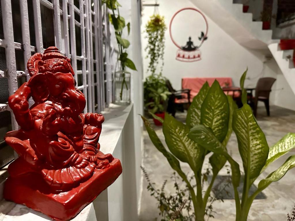 The Highvill Home Stay 克久拉霍 外观 照片